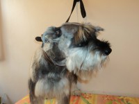 /album/fotos/de-todo-087-jpg/